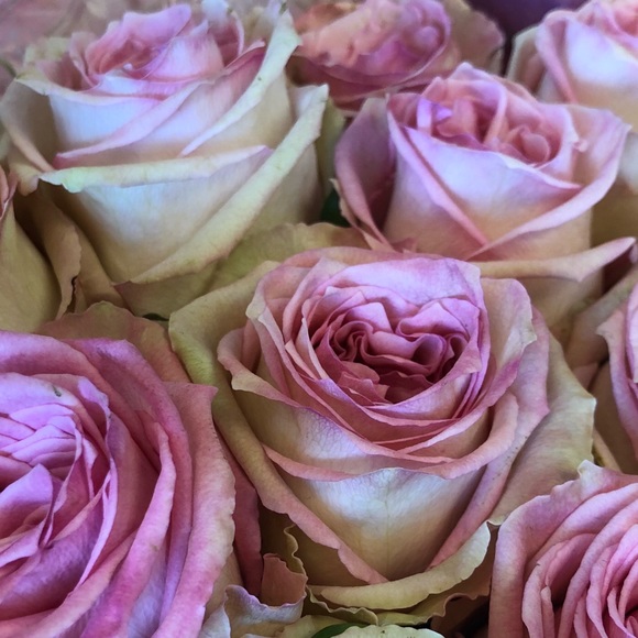 Meet your Posher, Maria - Picture 1 of 1